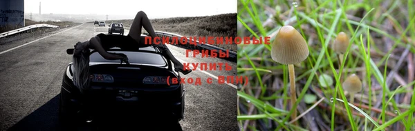 твердый Кинешма