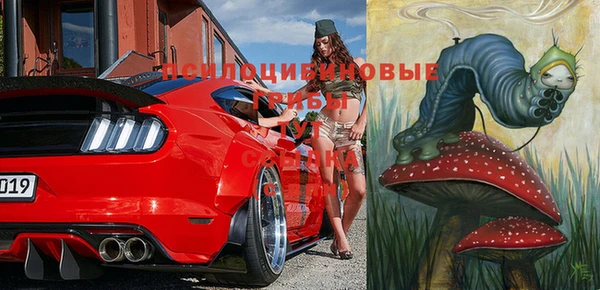 дживик Киренск