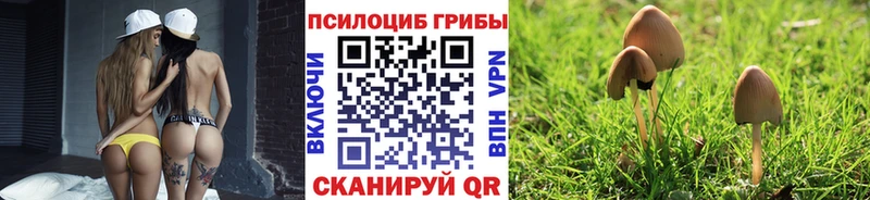 магазин продажи наркотиков  Чита  Псилоцибиновые грибы ЛСД 