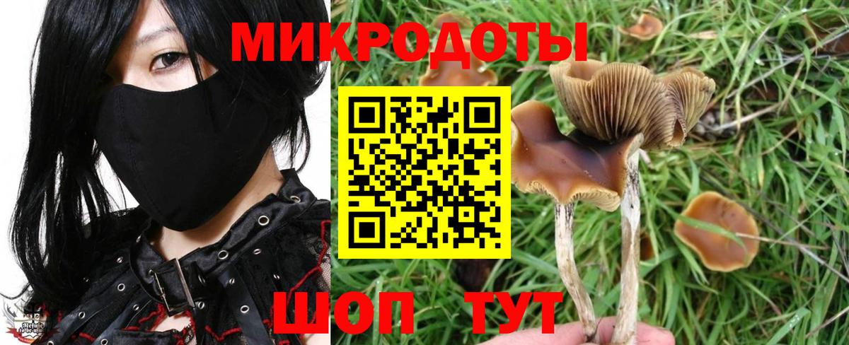 Псилоцибиновые грибы Magic Shrooms Чита